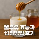 꿀C | 우유에 꿀을 타면 생기는 놀라운 변화! 꿀우유 효능과 섭취법 체험 후기
