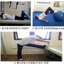 [스포츠의학]햄스트링 파열(Hamstring Strain)| 이미지