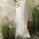수원스튜디오