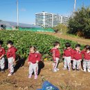 윤가네 농장 이미지