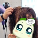 다겸미장원 | 청주 골목미장원 봉명점 인생 머리 찾음✨ 가볍고 세련된 하이레이어드컷 솔직 후기