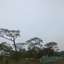 미림화원 이미지