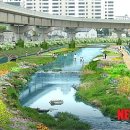 김해신명초등학교 이미지