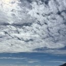 (유)그린관광 | 호주 시드니 포트스테판 호주무한투어 내돈내산 후기