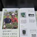 자연담향 | 리뷰 / 몸이 따뜻해지는 무농약 유기농 애담향 발효 쑥차 후기