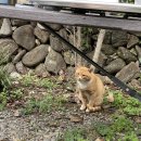 지리정원 이미지