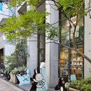 지아'조 이미지