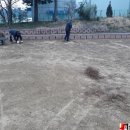 공동체비전고등학교 이미지