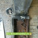 대우사약국 네이버블로그