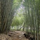 군산시회현보건지소 | 서해랑길 53코스 군산 새창이다리-회현초등학교-청암산에코라운드-군산호수둘레길-외당마을정류장 여행기록