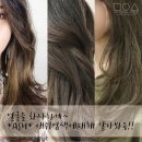 박정현헤어 이미지