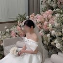 로지마리