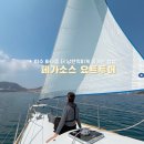 스타킹 | 여수 체험 놀거리 페가소스 요트투어 가격 및 예약 방법 후기