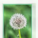 1945김근치과의원 이미지