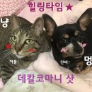 트루 당구장 | [공지]본격! 스타일러 에어드레서 비교 만화