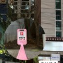 봄동살롱 이미지