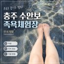 중앙슈퍼/수안보 | [충주] 수안보 무료족욕장 위치·이용방법·후기 정리 | 발만 담갔는데 여행 만족도 올라감ㅋㅋ