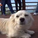 죽도농장 이미지