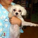 난곡동-27 이미지