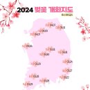 위미1리경로당 | 2024 전국 벚꽃 개화시기 제주도 벚꽃여행 명소 소개