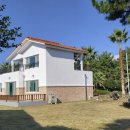 제주청개구리부동산중개 이미지