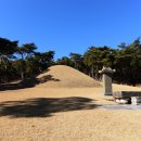 상96.10 파문 | 창녕조씨(昌寧 曺氏) 시조 조계룡의 묘(2024. 01. 08.)