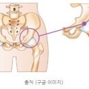 프로원휘트니스 신월 이미지