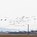 진발전소 이미지