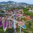 스카이코리아투어 이미지