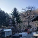 주안3동 | 인천점집 별당 애동제자의 맑은 영으로 답답한 속마음 뻥 뚫고 온 솔직 후기!!