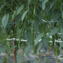 준앤준농장 이미지