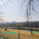 탑거리세천 티스토리
