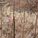 달래농장 이미지