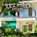 방장산자연휴양림 산림문화휴양관 라일락 후기