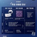 잔나비 | 삼성라이온즈파크 이벤트 라팍 콘서트 애프터 샤우팅 잔나비 공연 후기