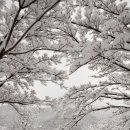 오즈의목장 이미지