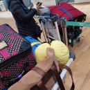 2018-주073 | [캐나다 생활] 180309 대한항공 인천-토론토 13시간 비행 후기 + 특별 기내식