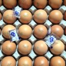 장호농장 이미지