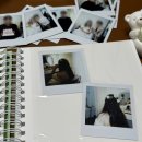 매드스탬프 인생네컷앨범 네컷사진부터 웨딩촬영 폴라로이드까지 정리한 사진앨범 후기