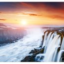 팔공초등학교 이미지