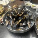 동해 | 대구 남구 회 맛집 동해수산 후기 신선도 가성비 분위기 최고