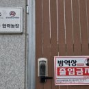 호은농장 네이버블로그