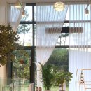 퍼피멜로디 이미지