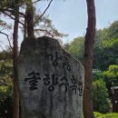 구정리 | 강릉 솔향수목원 수국원 방문후기 개화상황