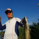 기세곡천 이미지