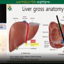 한국내과 이미지
