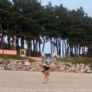 원진한의원 | 얄라차