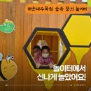 하늘꿈어린이집 놀이터 | 부산 무료 놀이터 추천｜해운대수목원 숲속 꿈의 놀이터 아이랑 방문기