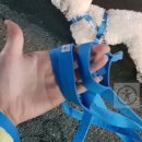 이름소프트 이미지