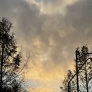 판교연세피부과의원 이미지